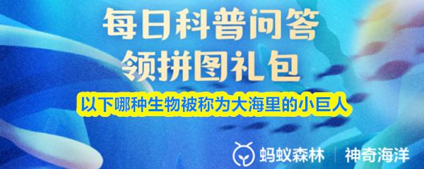 以下哪种生物被称为大海里的小巨人