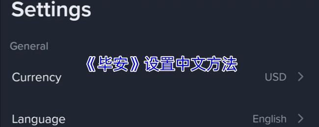 毕安 设置中文方法