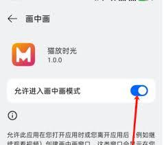 猫放时光app如何开小屏观看