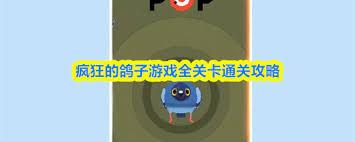 疯狂的鸽子第六关通关方法