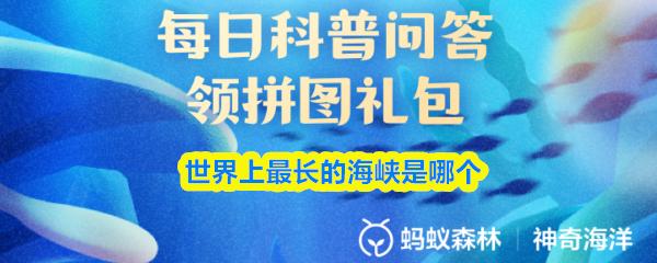 世界上最长的海峡是哪个
