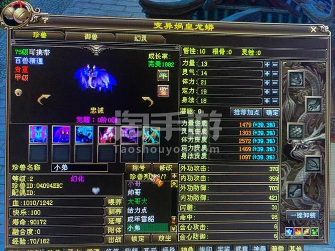 手游天龙天山用什么宝宝好-天龙八部天山用什么宝宝