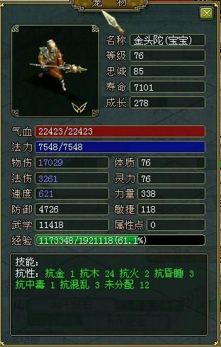 问道手游金头陀打什么技能-问道金头陀有什么技能