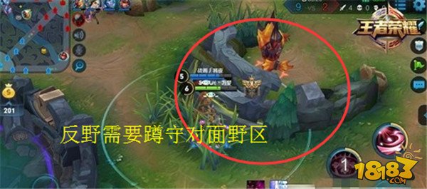 王者荣耀反野是什么意思-王者专业术语大全