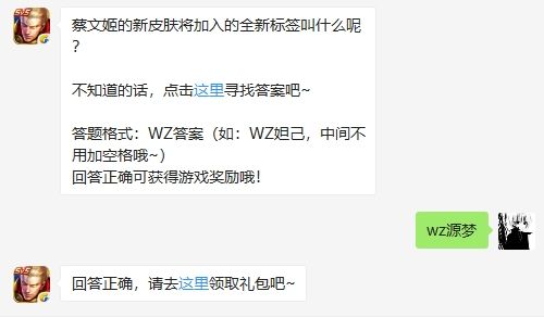 蔡文姬的新皮肤将加入的全新标签叫什么呢_蔡文姬的新皮肤将加入的全新标签叫什么呢手游