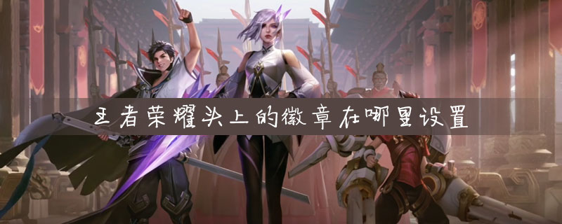 王者荣耀头上的徽章怎么设置-头上的徽章设置方法