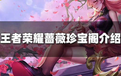 蔷薇珍宝阁换什么皮肤好_蔷薇珍宝阁值得换的皮肤