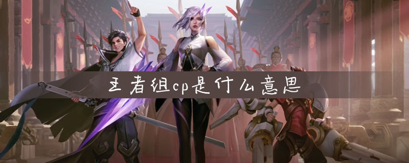 cp是什么意思哦_cp是啥意思啊?