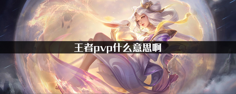 pvp是什么意思_pvp是什么意思化学