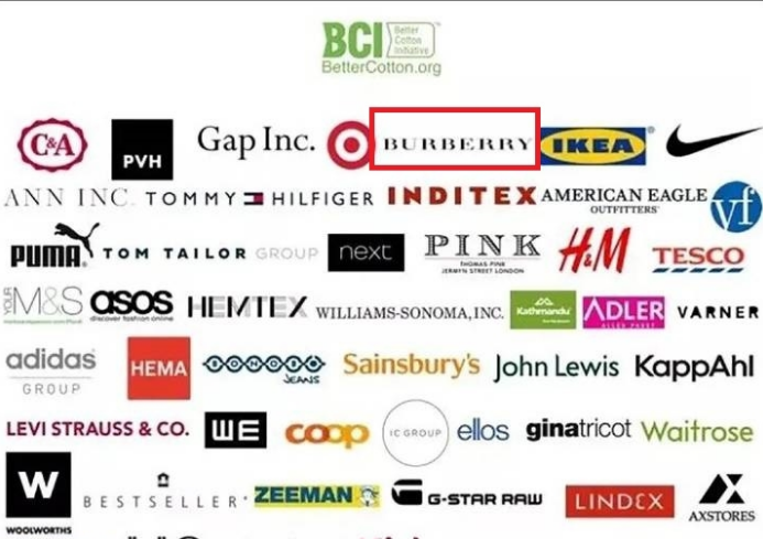 王者荣耀巴宝莉辱华-王者官宣巴宝莉