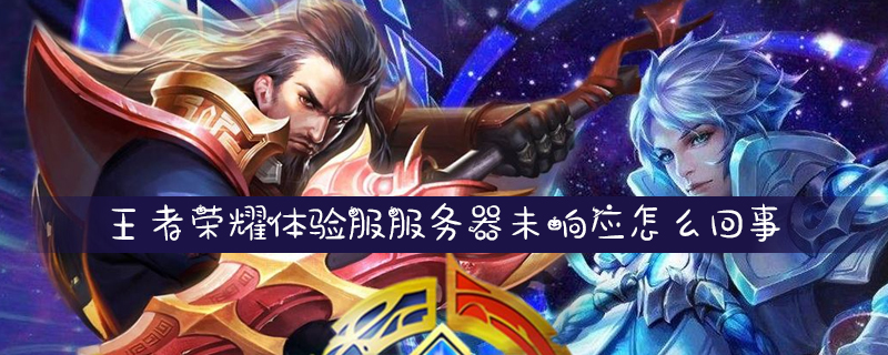 王者荣耀服务器未响应是什么意思-王者荣耀服务器未响应是什么意思其他人都可以玩