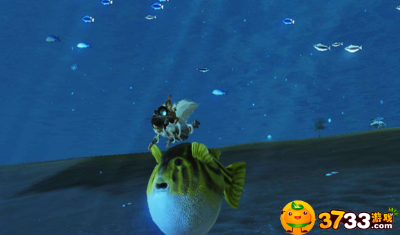 妄想山海怎么捕捉宠物_妄想山海宠物捕捉方法