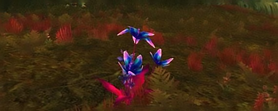 费伍德森林_魔兽世界怀旧服被腐化的轻歌花刷新点