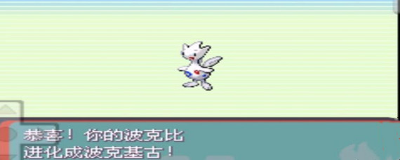 神奇宝贝波克比进化_口袋妖怪究极绿宝石5波克比进化方法