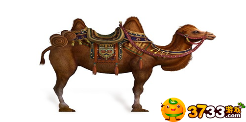 九阴真经坐骑_九阴真经坐骑骆驼怎么样