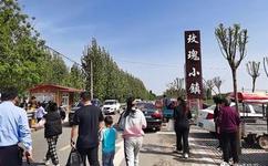 玫瑰小镇游戏_玫瑰小镇游戏下载安装