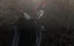 猎天使魔女中文剧情_猎天使魔女无中文