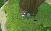 熊猫人声望怎么刷_土水派熊猫人声望怎么刷