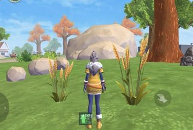 创造与魔法龙虾小丸子怎么做-创造与魔法龙虾小丸子做法攻略