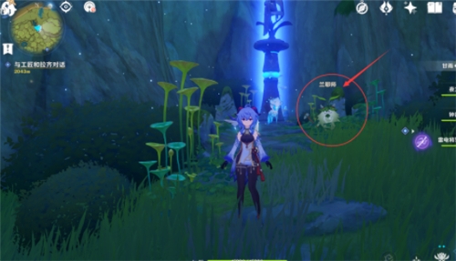 原神树王圣体菇在哪里购买-原神树王圣体菇购买位置一览