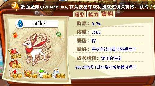 洛克王国快速升级攻略-洛克王国如何快速升级