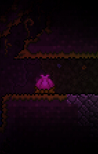 泰拉瑞亚世纪之花怎么打-泰拉瑞亚世纪之花打法详解