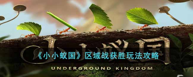 小小蚁国最强区域战应该怎么玩-小小蚁国最强区域战的获胜攻略