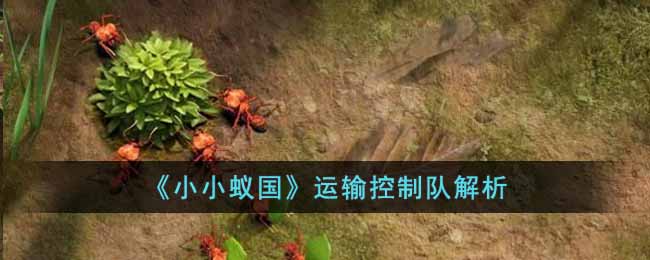 小小蚁国运输控制队怎么样-小小蚁国运输控制队解析