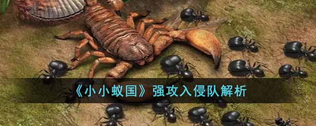 小小蚁国强攻入侵队怎么样-小小蚁国强攻入侵队解析