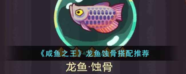 咸鱼之王龙鱼蚀骨怎样搭配-咸鱼之王龙鱼蚀骨的搭配引荐