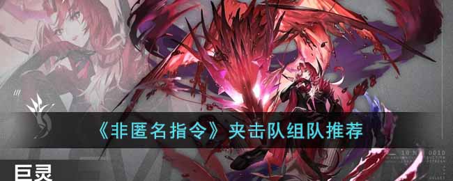 非匿名指令夹击队怎么配队-非匿名指令夹击队组队推荐