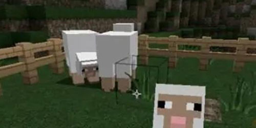 我的世界山羊驯服方法详解-山羊如何驯服