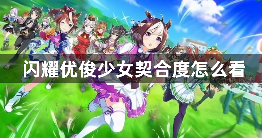 闪耀优俊少女契合度怎么看-契合度查看方法