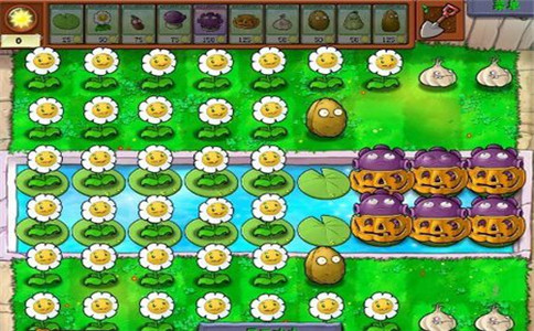 植物大战僵尸无尽版攻略-植物大战僵尸无尽模式-植物大战僵尸最强布阵