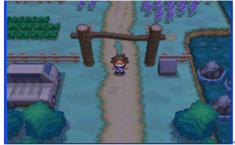 口袋妖怪黑白攻略_口袋妖怪黑白攻略二周目