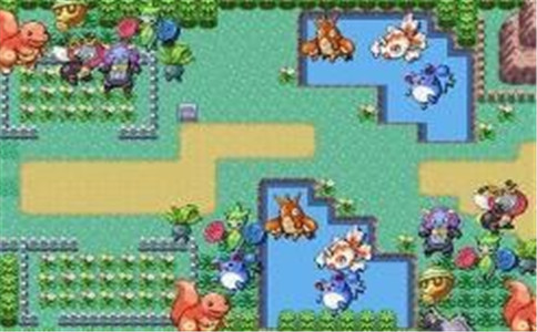 口袋妖怪攻略_口袋妖怪单机版攻略大全