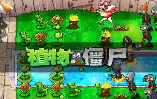 植物大战僵尸2010年度版