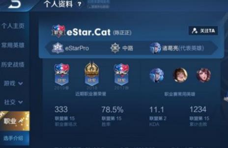 王者荣耀头像上有职业两个字